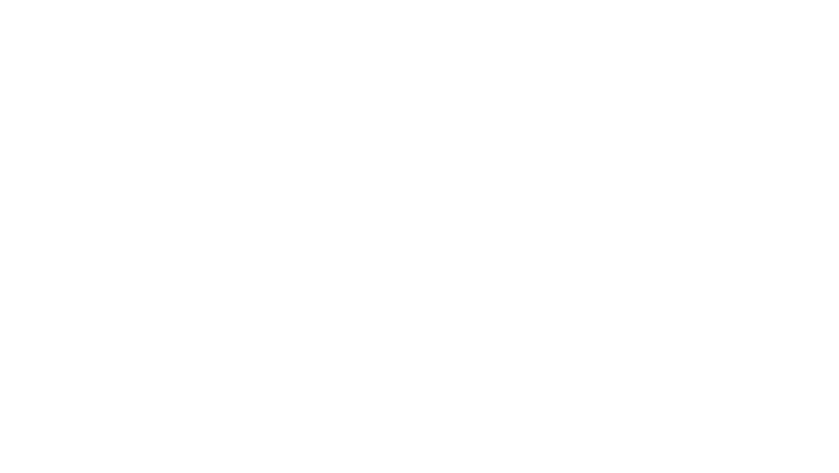 Canes logo